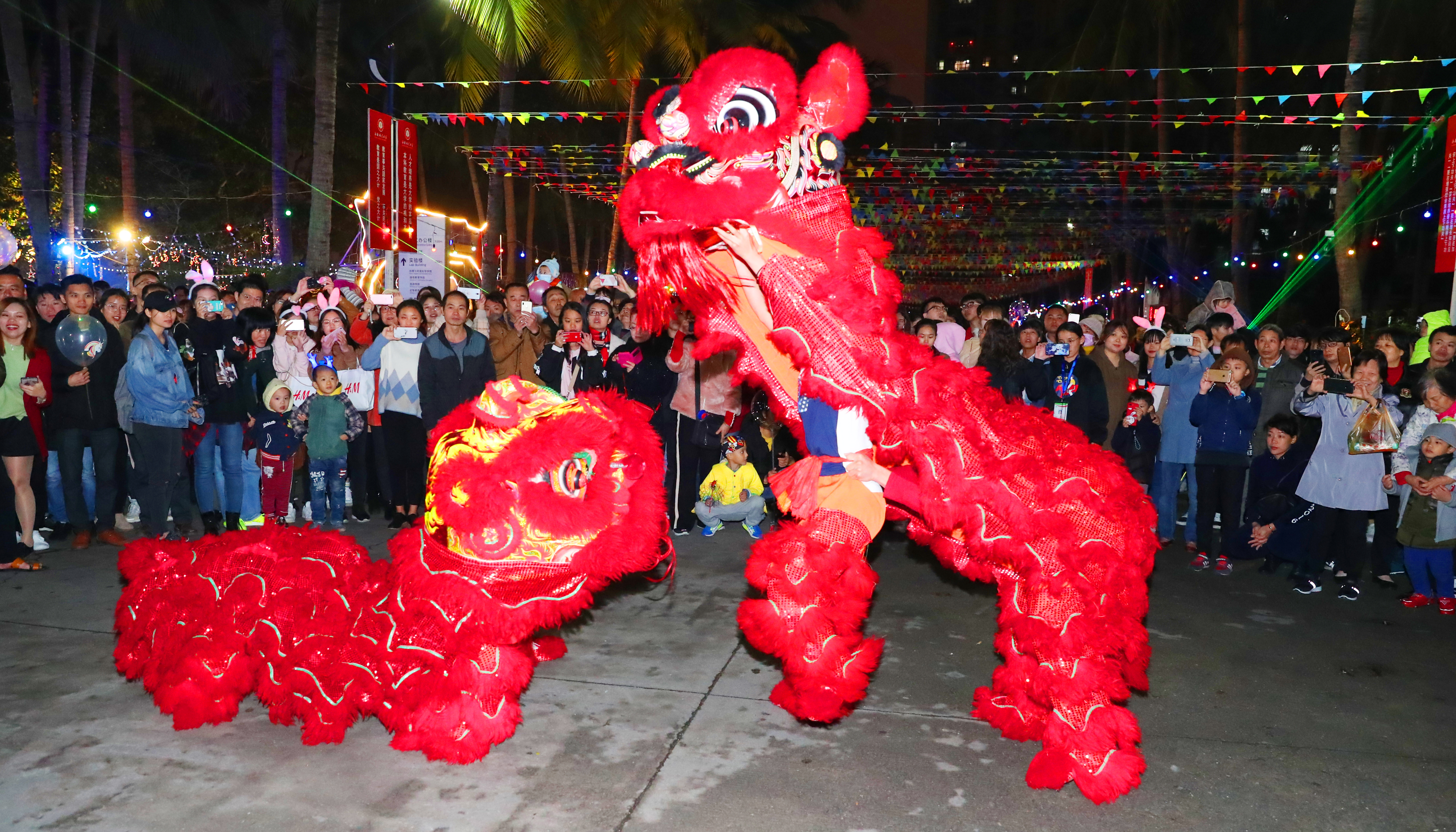 我校举行2019年元旦游园活动