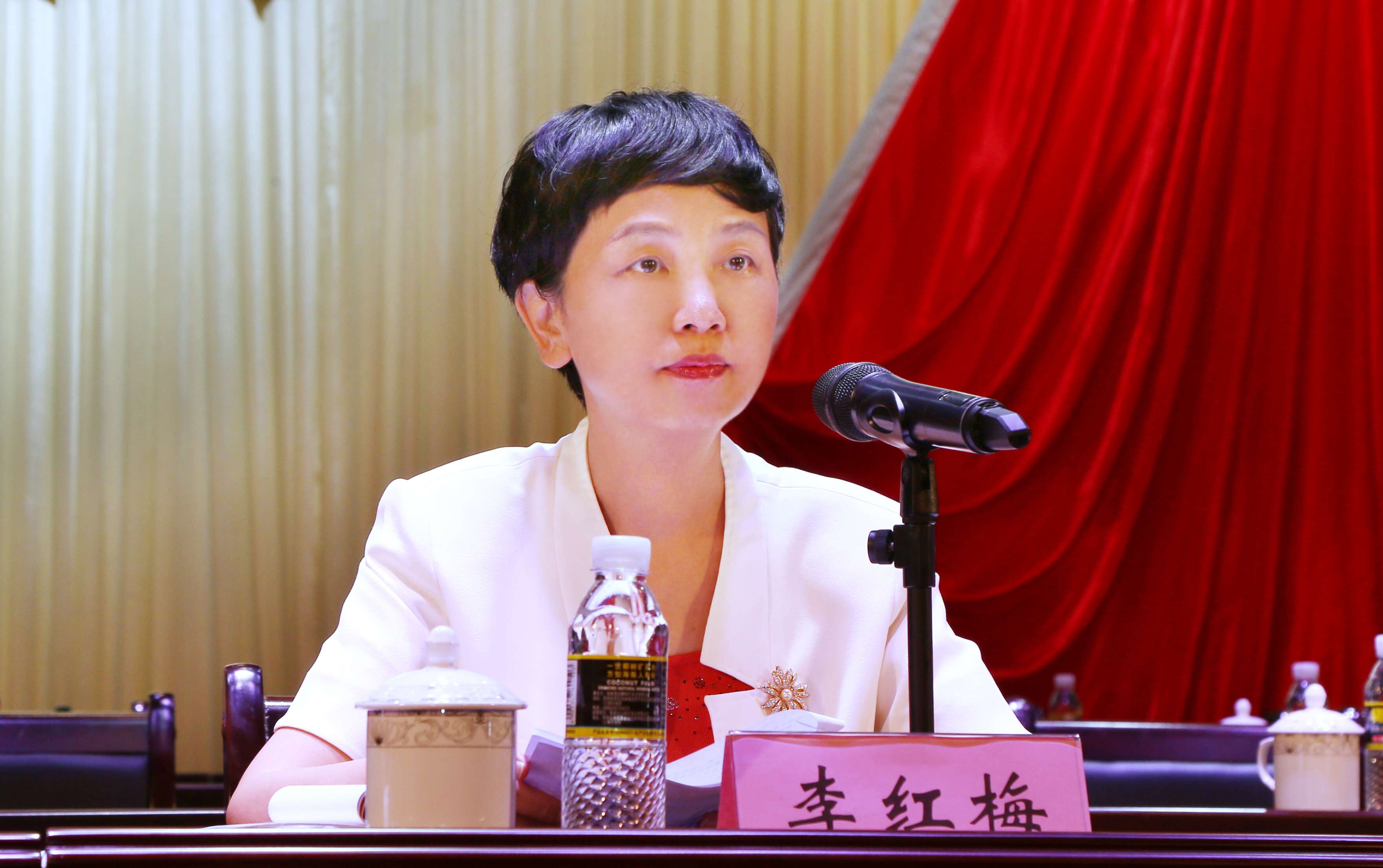 李红梅主持召开海南师范大学第一次党代会预备会议