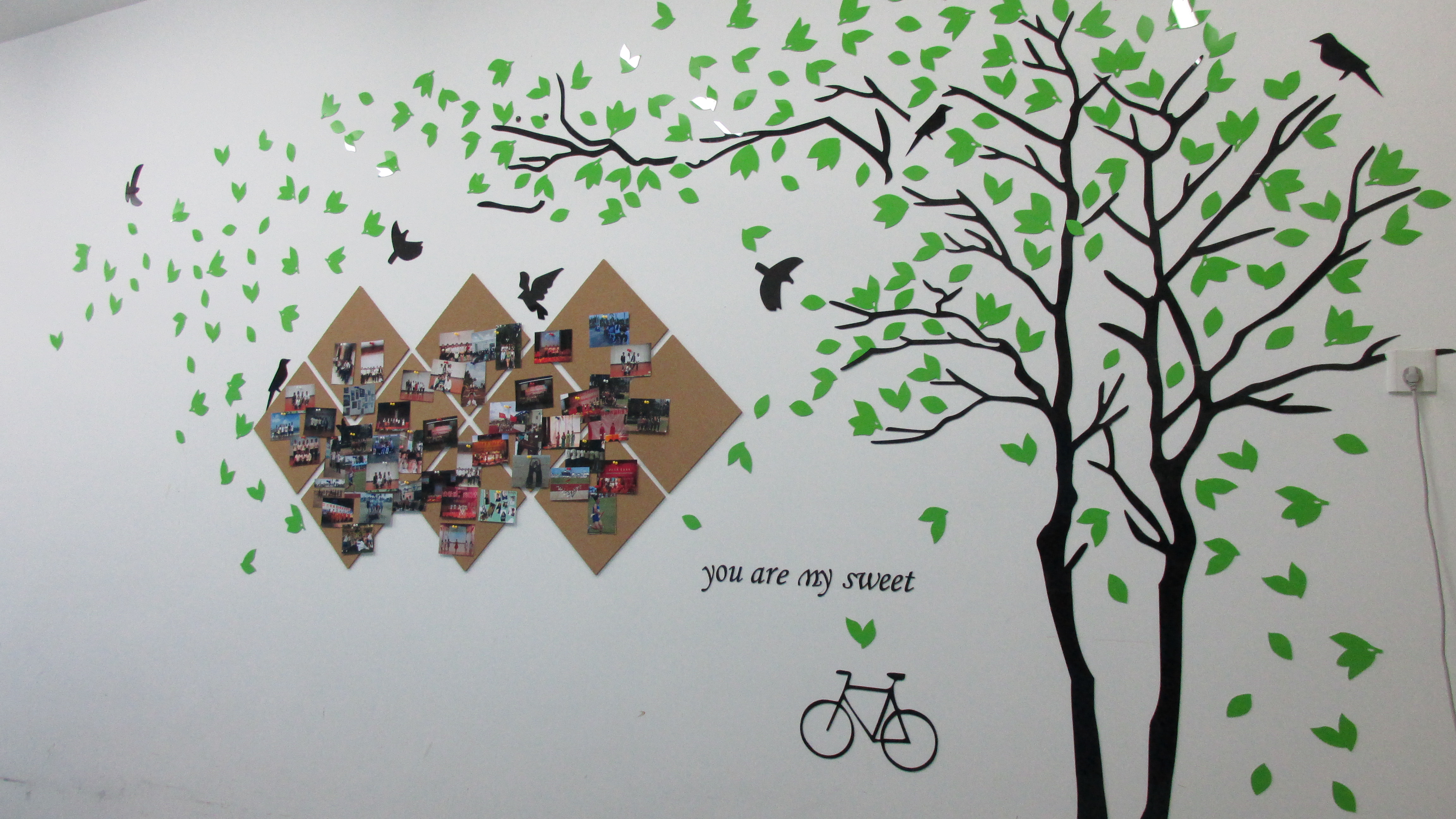 空间印象 舒心办公――记文学院团委学生会办公室装饰活动