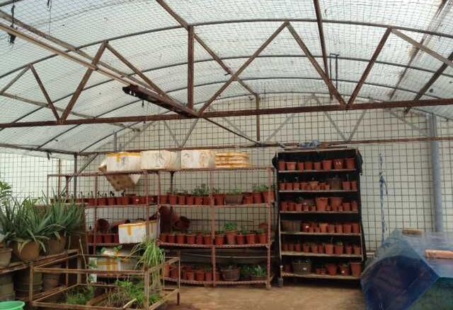 【“双创”专题8】大学生：“双创”从我做起