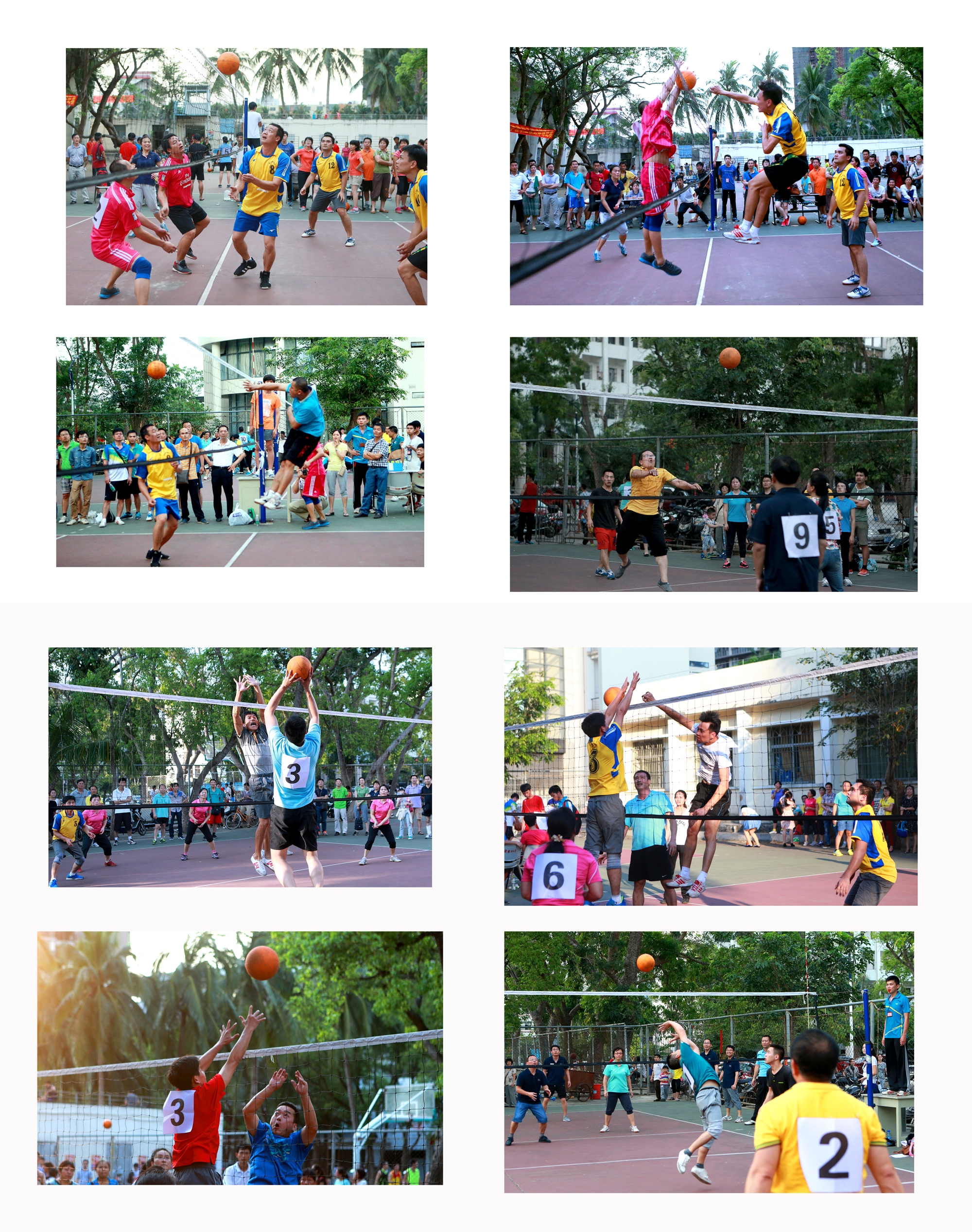 我校2015年教职工软式排球比赛圆满结束