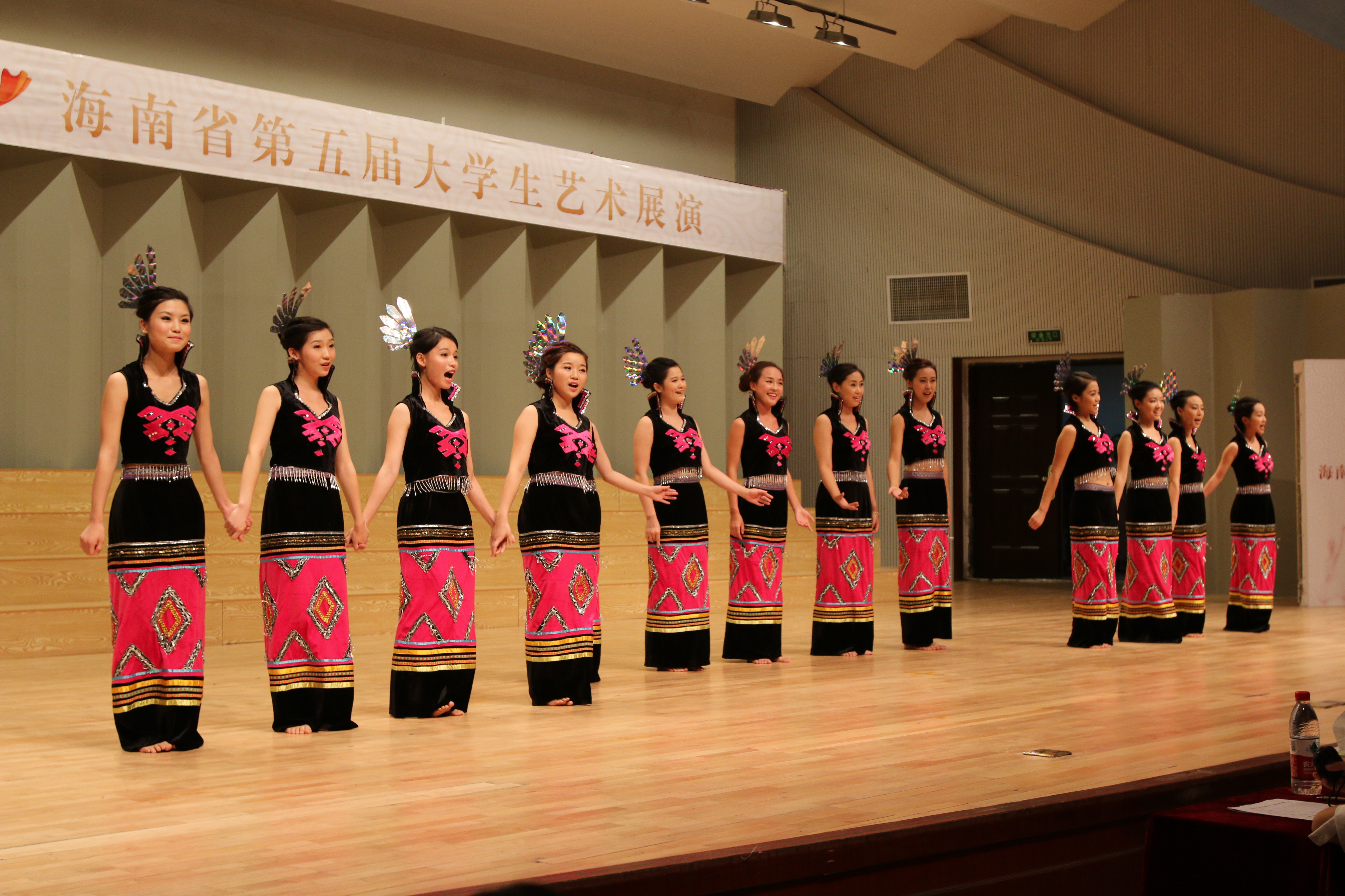 海南省第五届大学生艺术展演