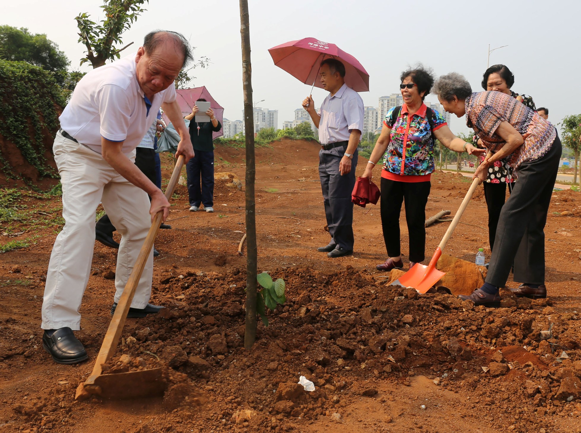150余名校友毕业50周年返校 重温校园记忆