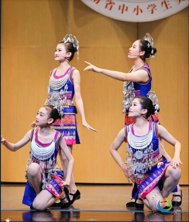 我校“椰苗行动”白沙项目支教获佳绩