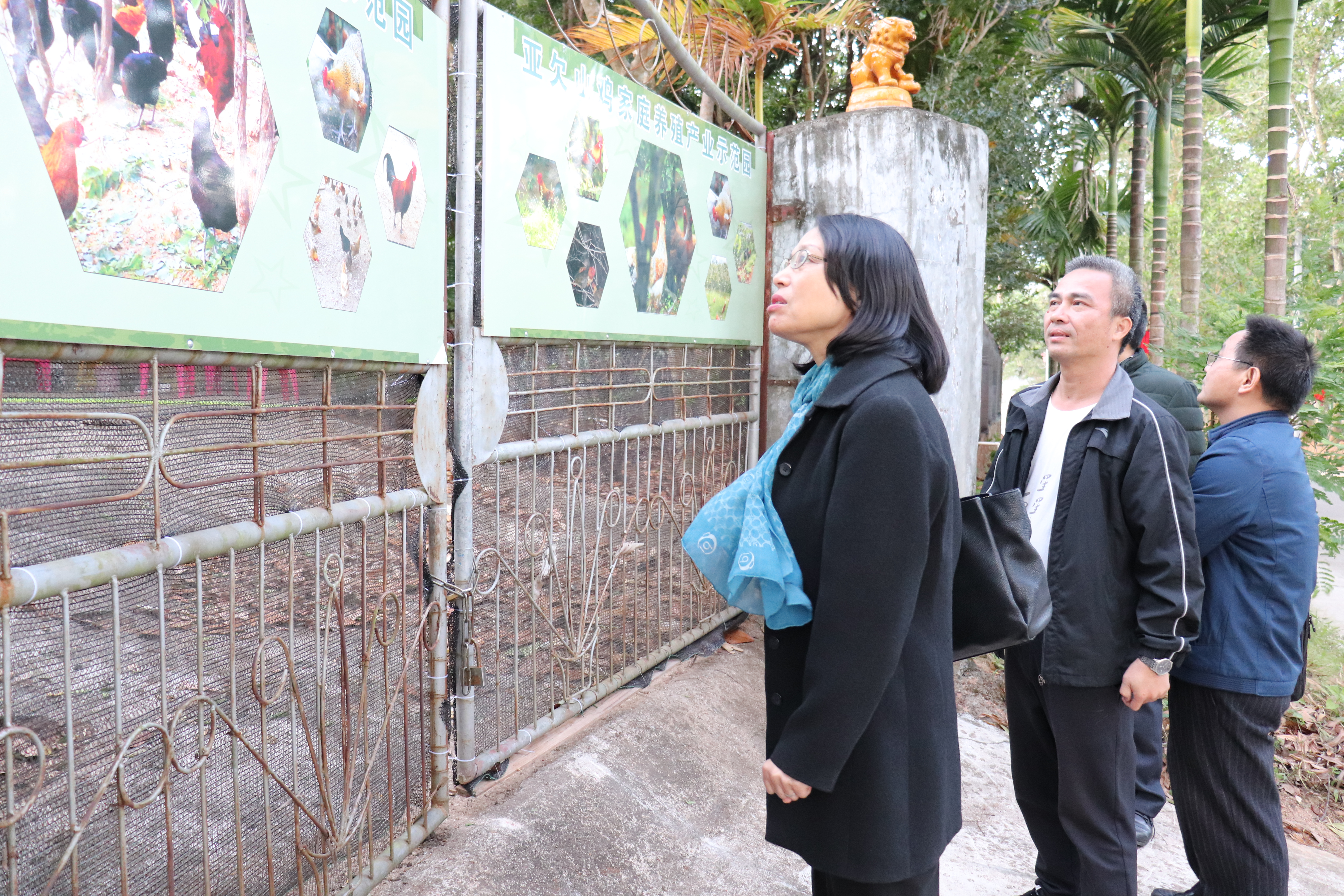 海南师范大学艺术团开展惠民演出、助力文化扶贫