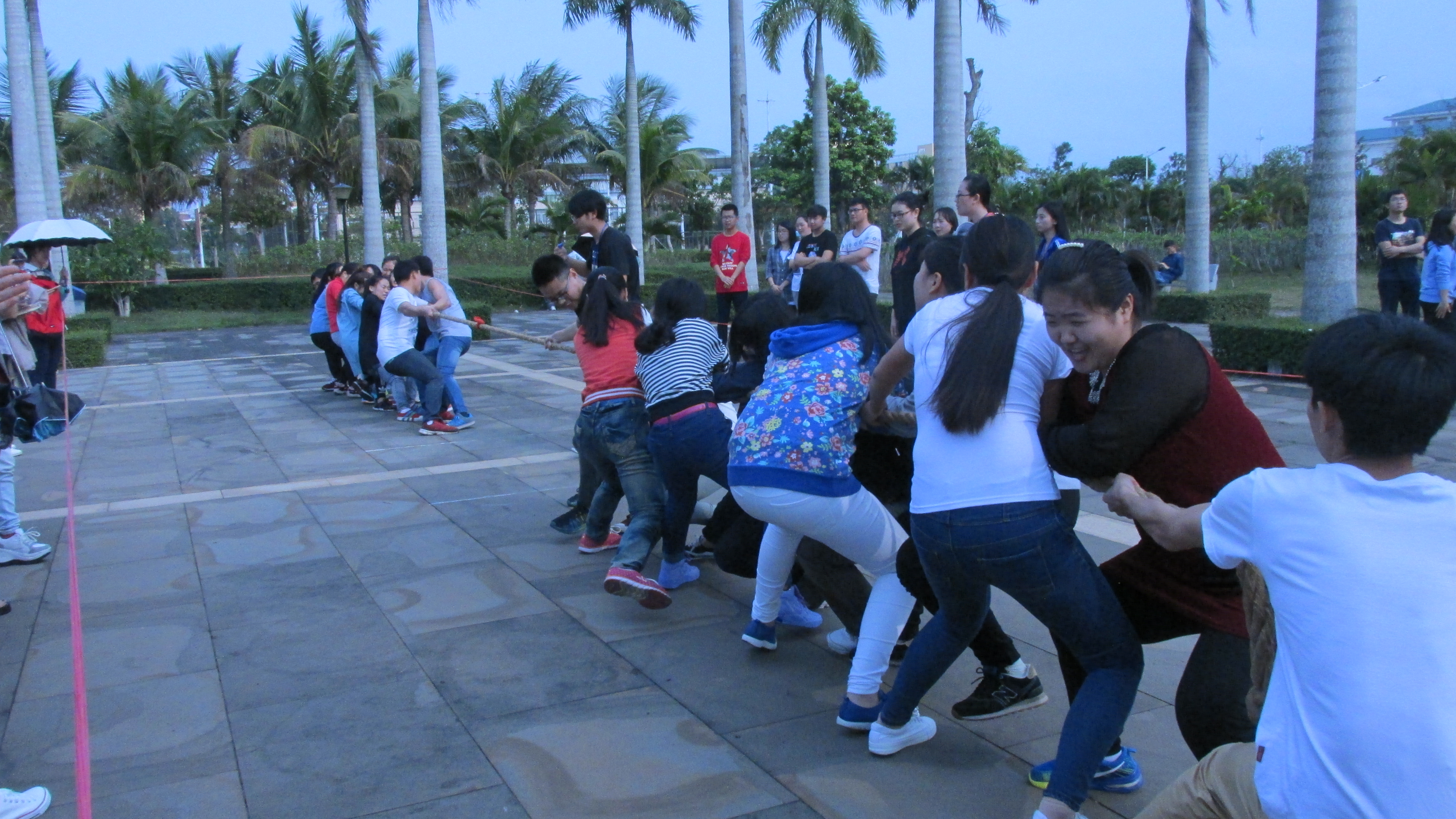 椰风海韵，运动青春――记文学院拔河比赛活动
