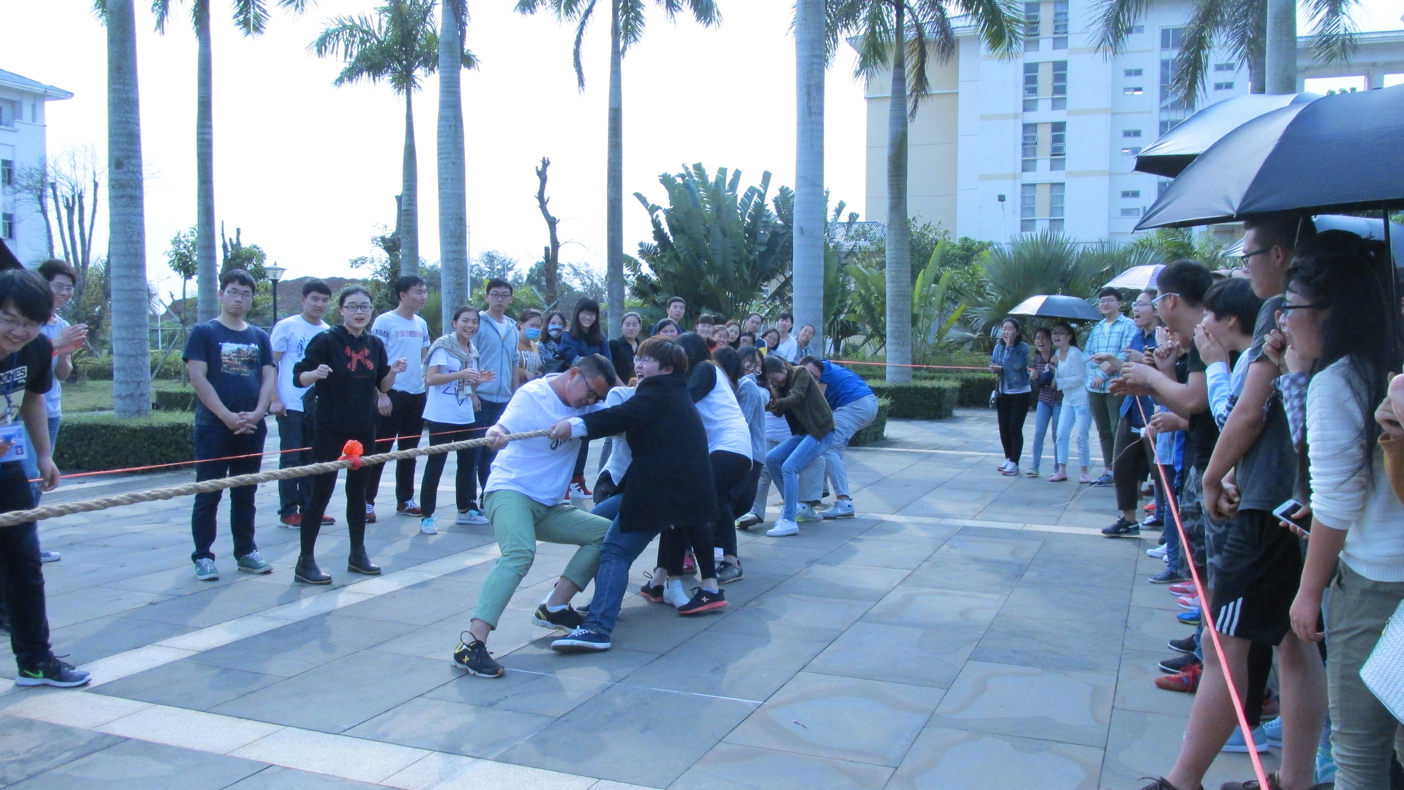 椰风海韵，运动青春――记文学院拔河比赛活动