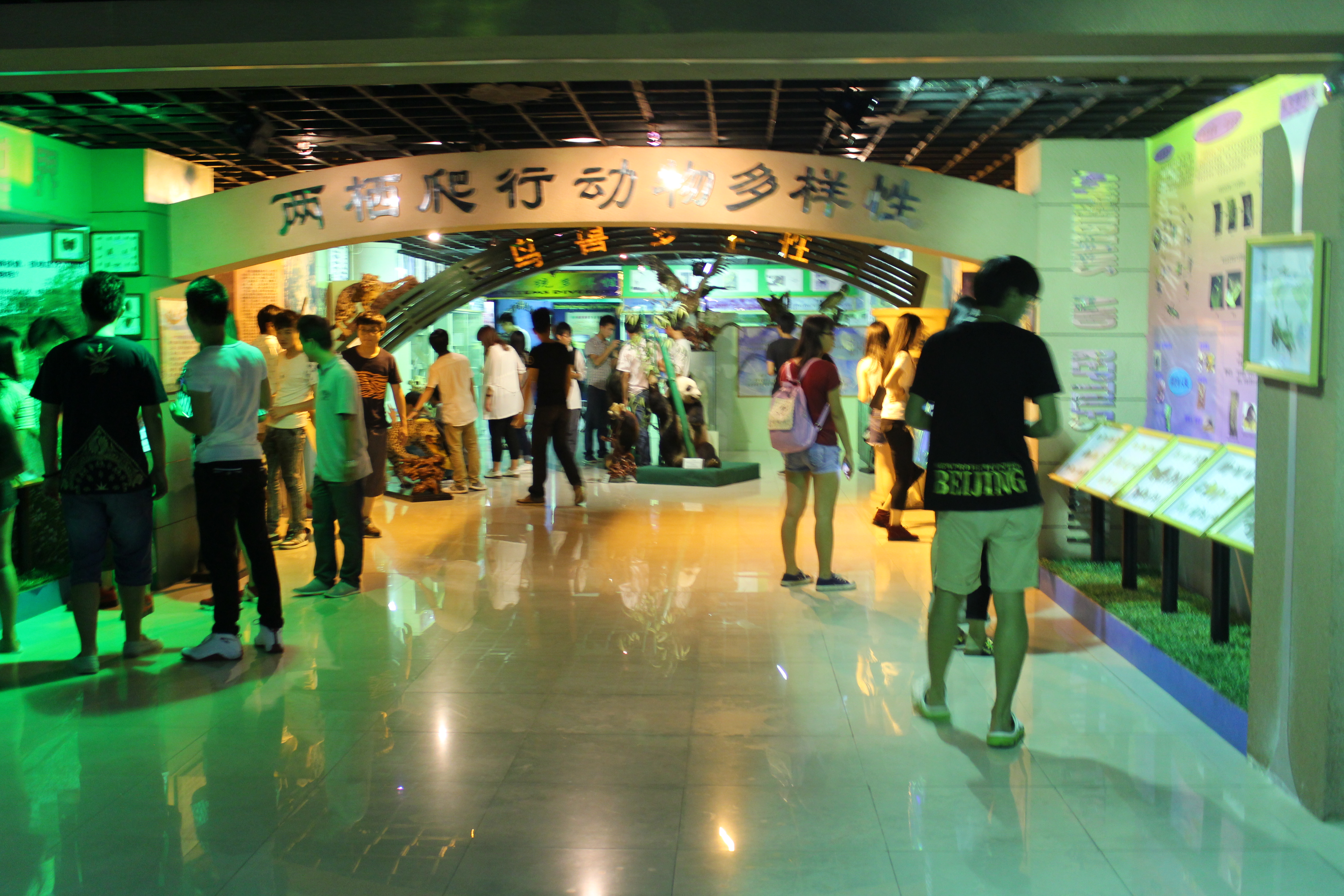 14级新生开展“三走”主题系列活动  ――记美院参观校史馆、海南生物多样性博物馆