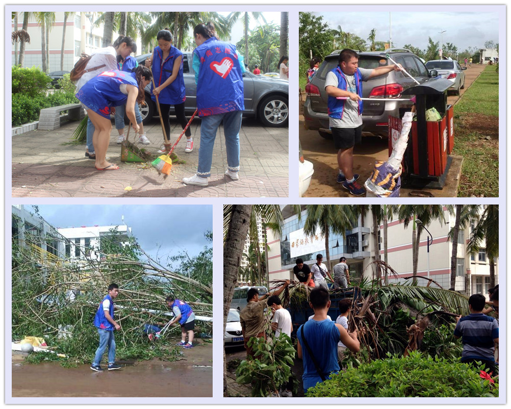 我校阳光青年志愿者开展抗风救灾志愿服务活动