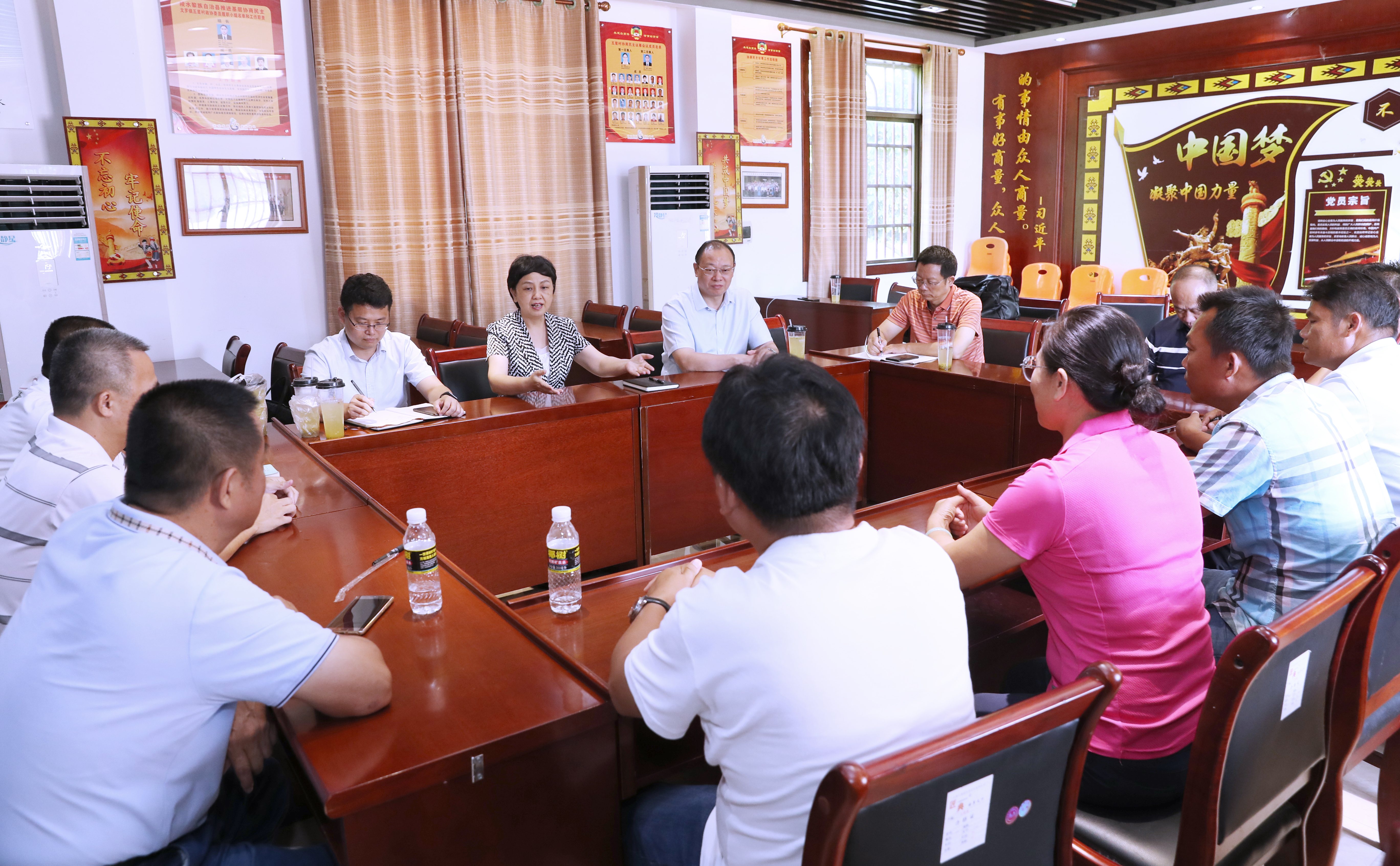 李红梅带队到陵水五星村、远景村调研、指导乡村振兴工作