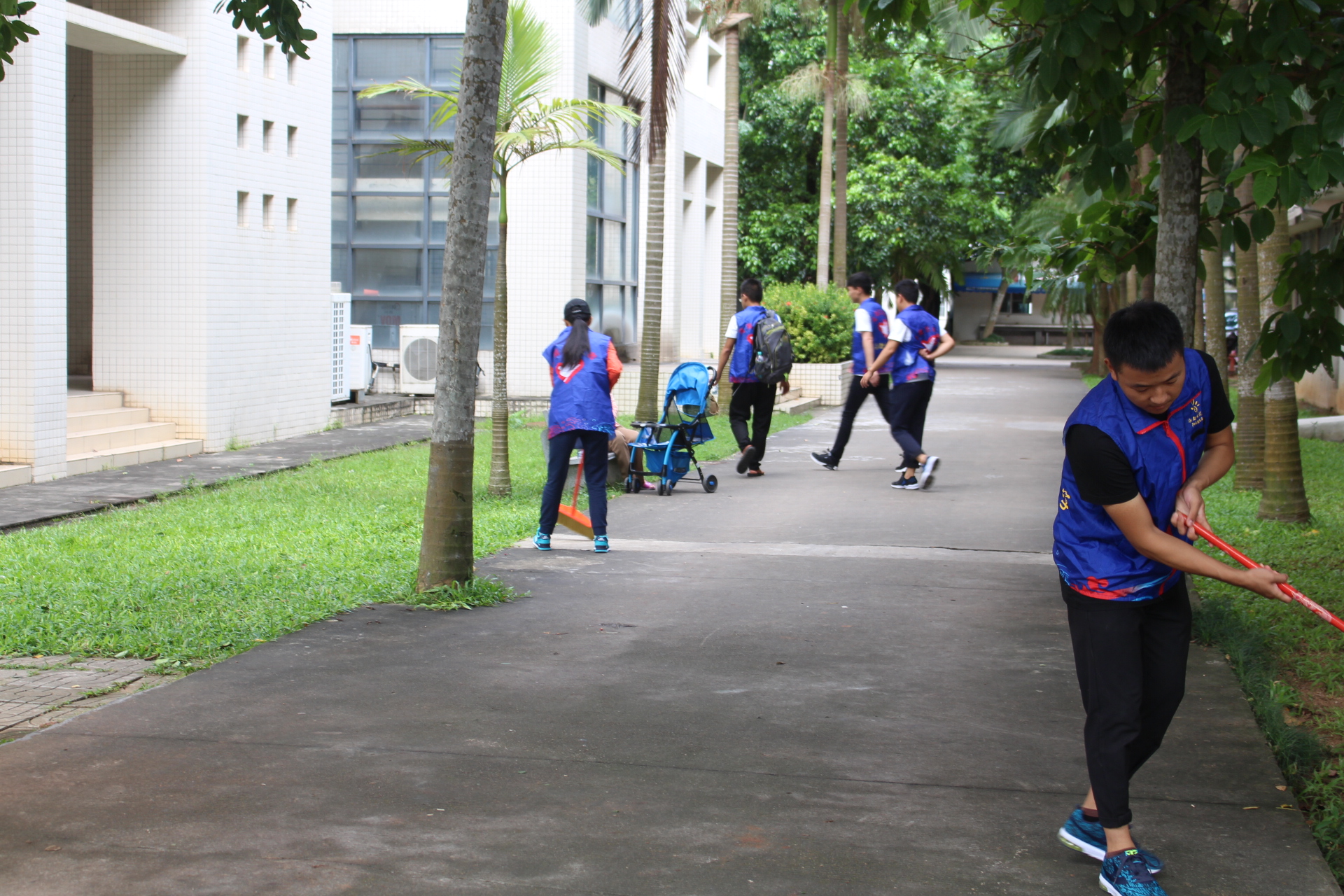 青年之声・不惧台风，校园重整--记物理与电子工程学院校园清扫志愿服务活动