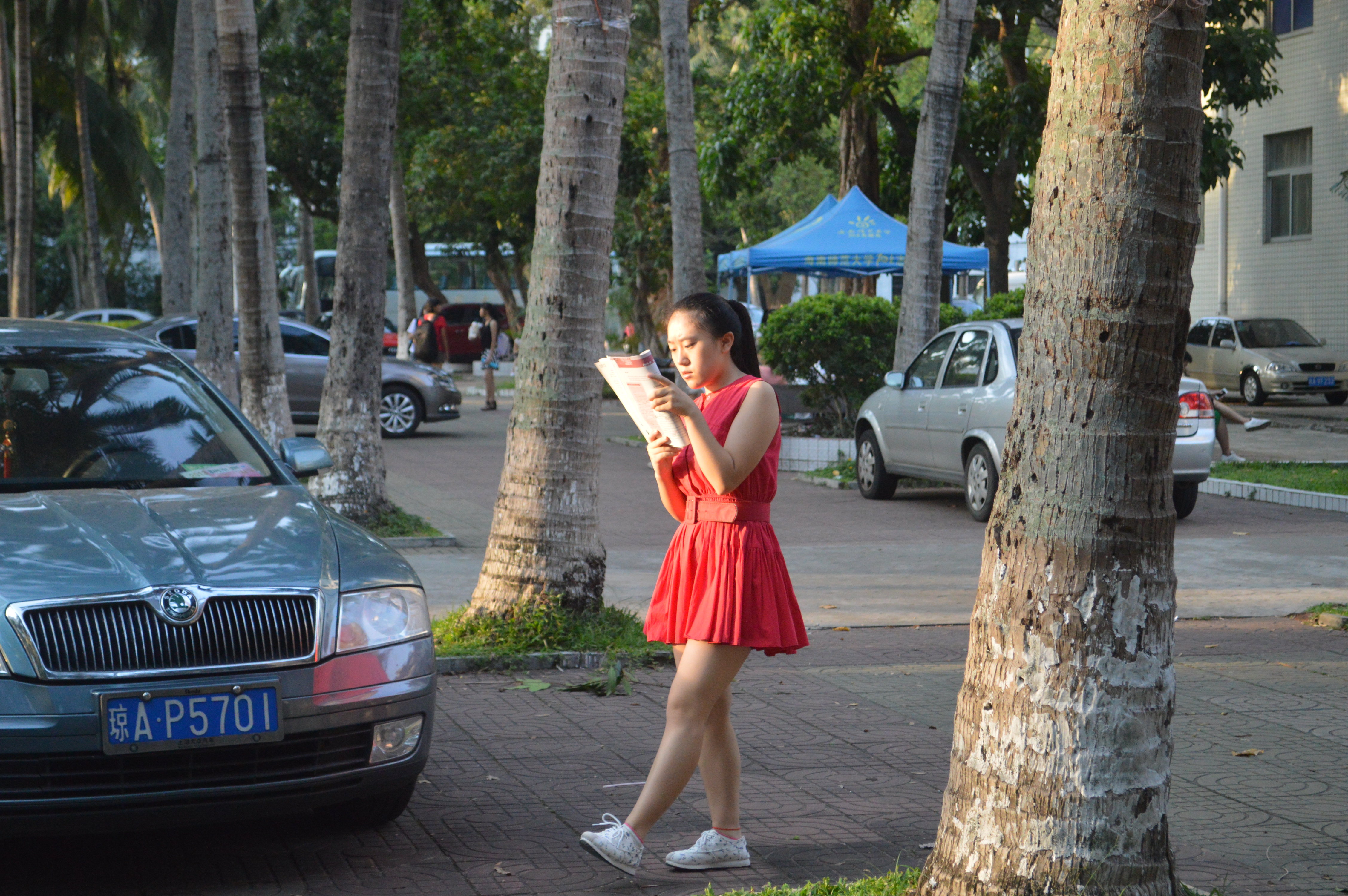 书墨飘香，弥漫椰林――记数学与统计学院晨读系列活动