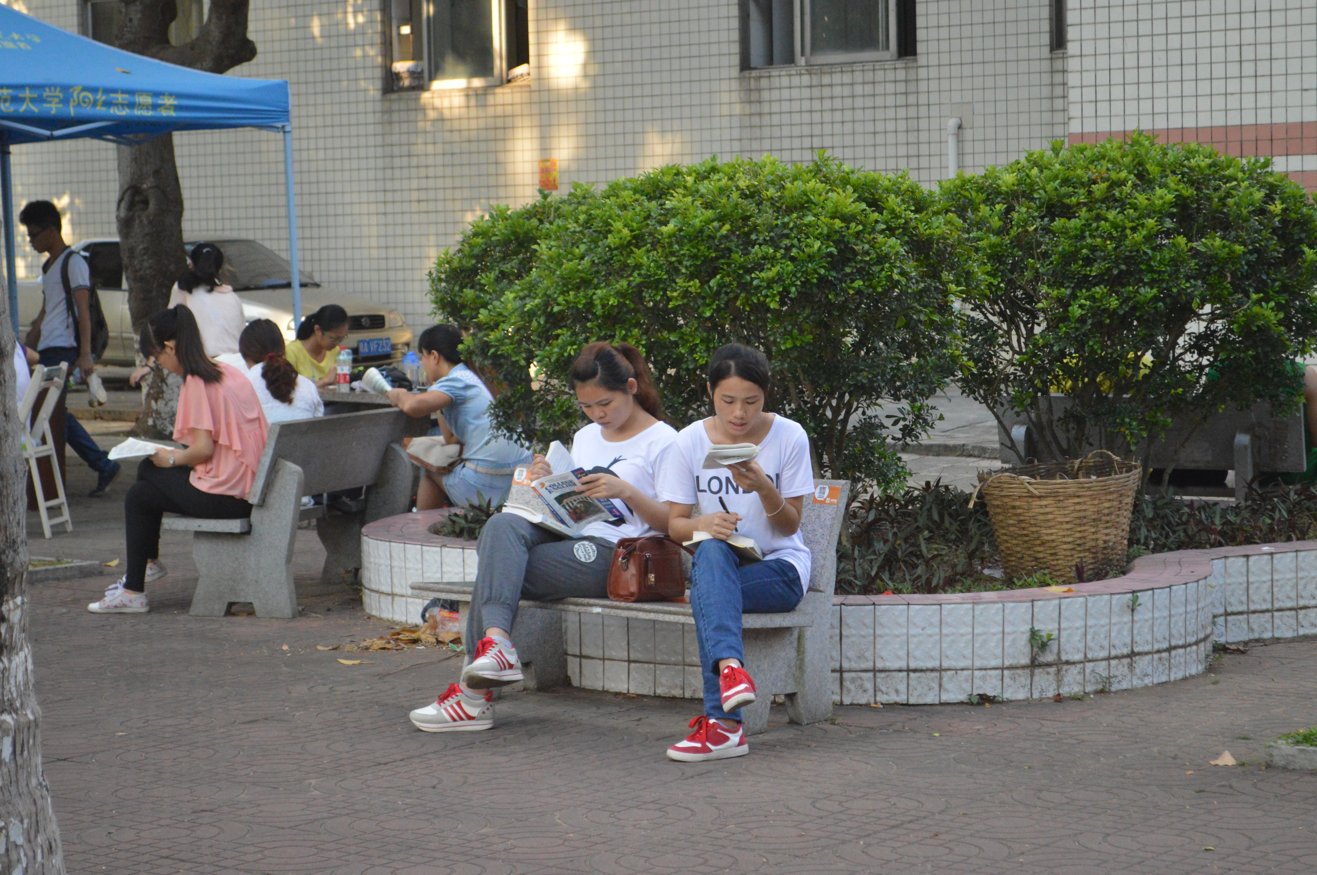 书墨飘香，弥漫椰林――记数学与统计学院晨读系列活动