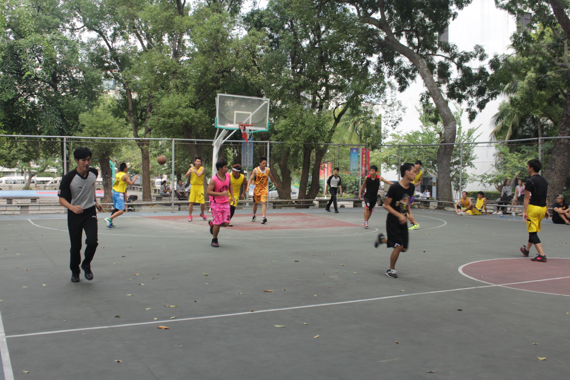 青年之声・物电之声 群雄角逐，谁主篮坛