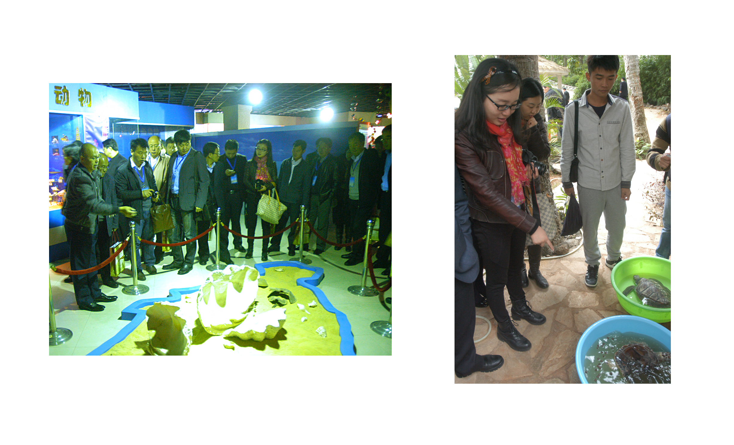 全国部分高等师范院校第27次党建研讨会在我校召开