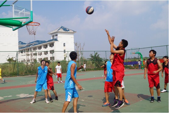 青春在运动中轻舞飞扬――记经济与管理学院“三走”系列活动之“迎新杯”男篮女排