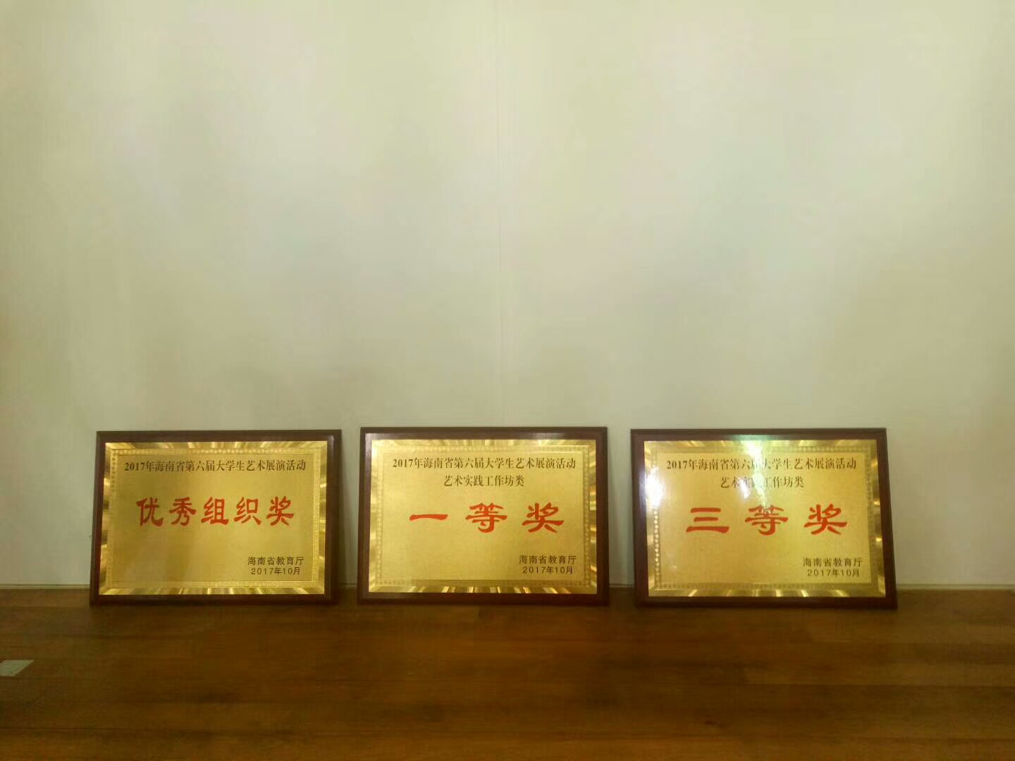 青年之声・美术学院环艺工作室参加海南省第六届的学生艺术展