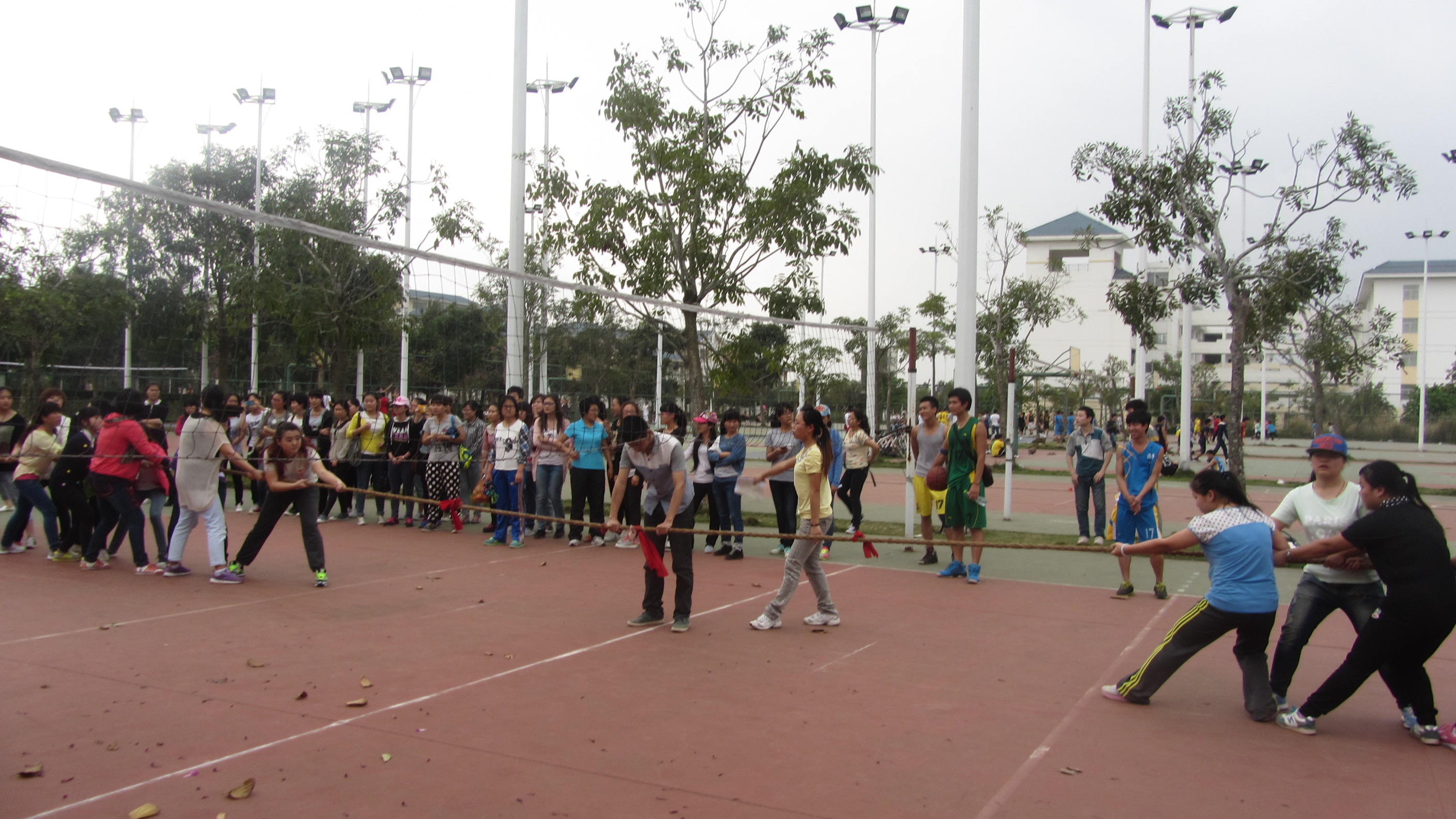 三月女人节，看我教科女——记教育科学学院女子拔河赛
