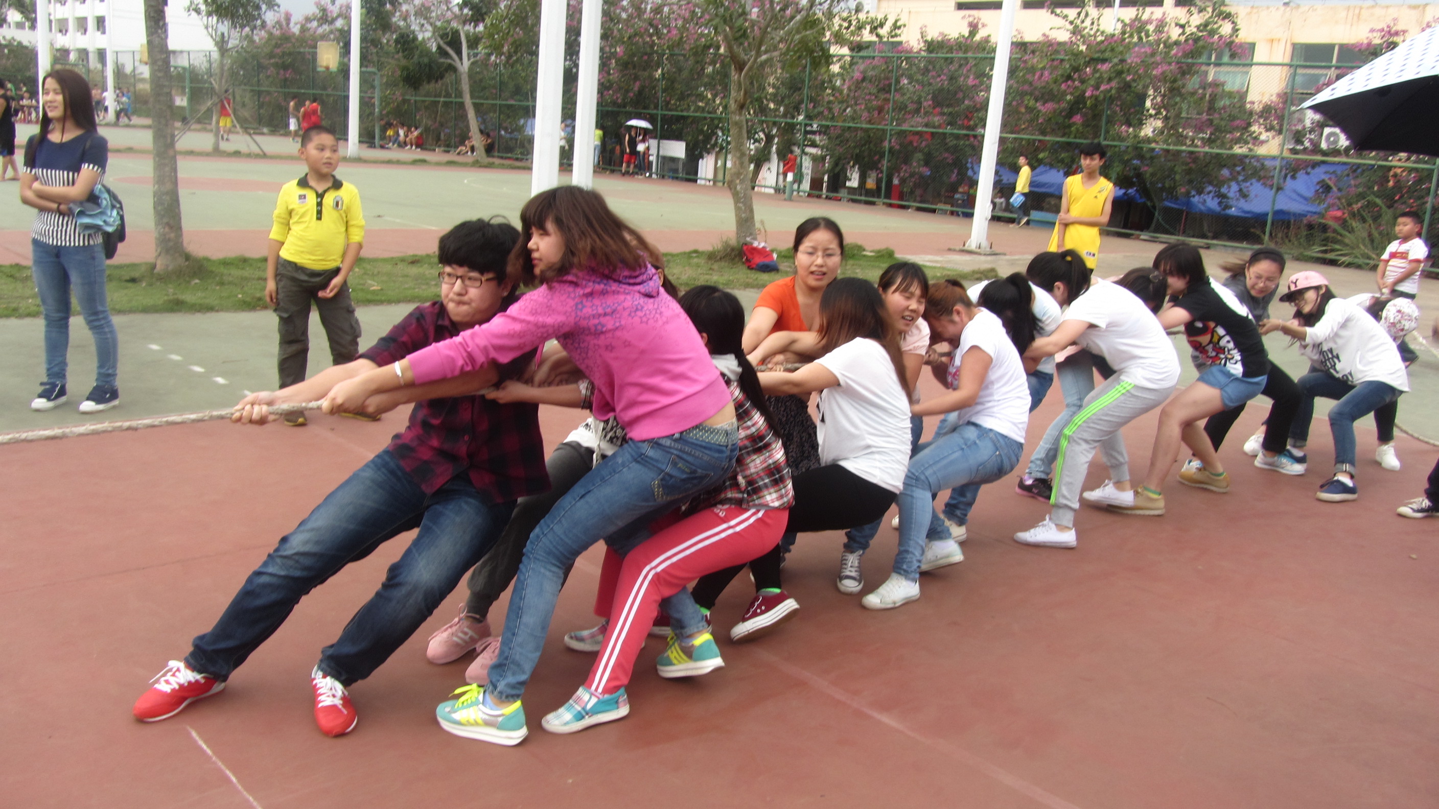 三月女人节，看我教科女——记教育科学学院女子拔河赛