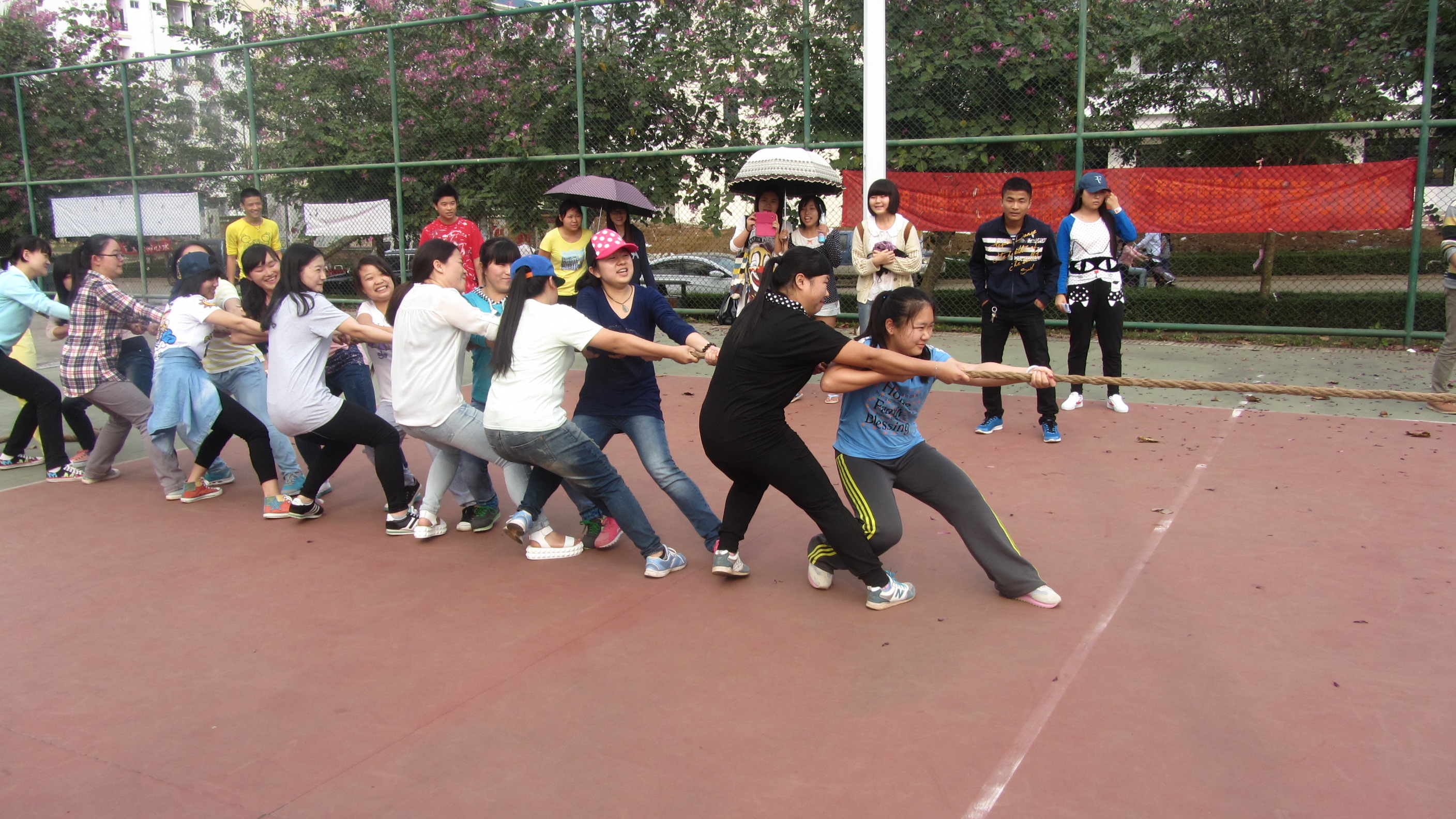 三月女人节，看我教科女——记教育科学学院女子拔河赛