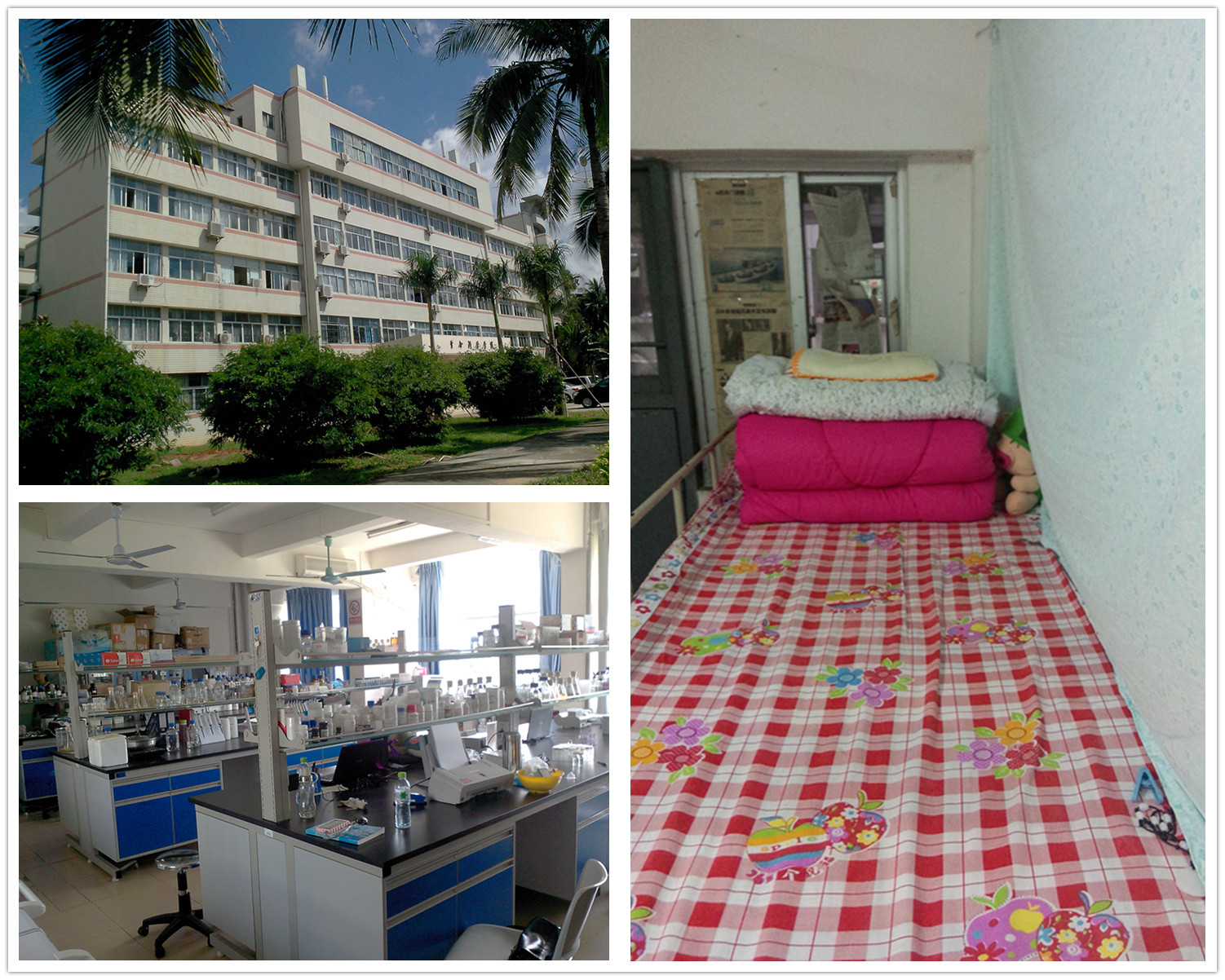 【“双创”专题6】学院“双创”在行动（二）